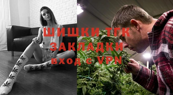 сатива Горно-Алтайск