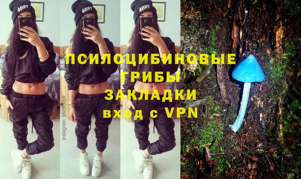 дживик Вязники