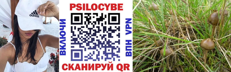 площадка клад  Звенигород  Галлюциногенные грибы ЛСД 